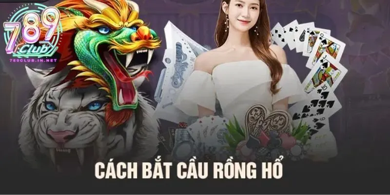 Cách bắt cầu rồng hổ từ cao thủ 789club